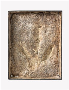 Image description is not available for 2003.2.3